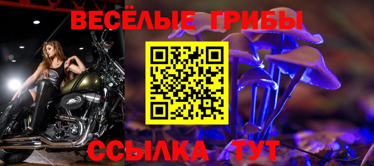 Псилоцибиновые грибы Cubensis Новоалтайск