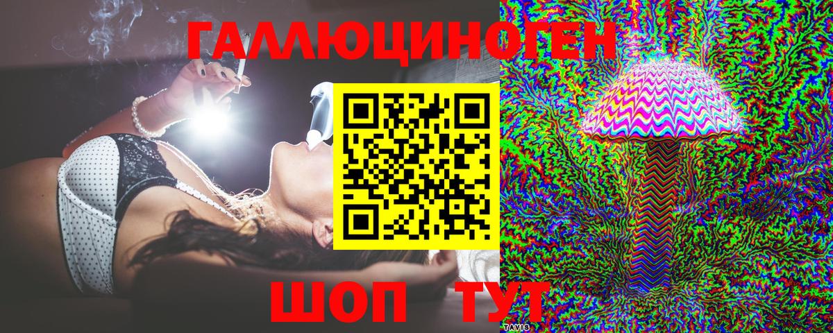 Галлюциногенные грибы Psilocybe  Вход с VPN  Новоалтайск 